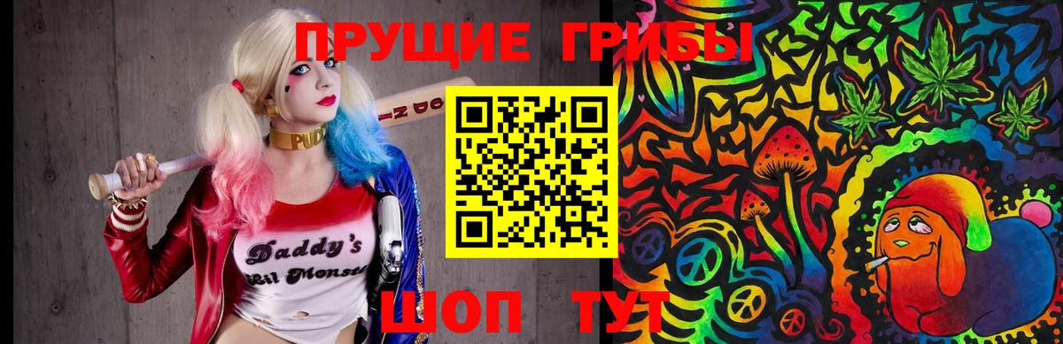 Тосно  Галлюциногенные грибы мухоморы  Вход с VPN  Галлюциногенные грибы GOLDEN TEACHER 